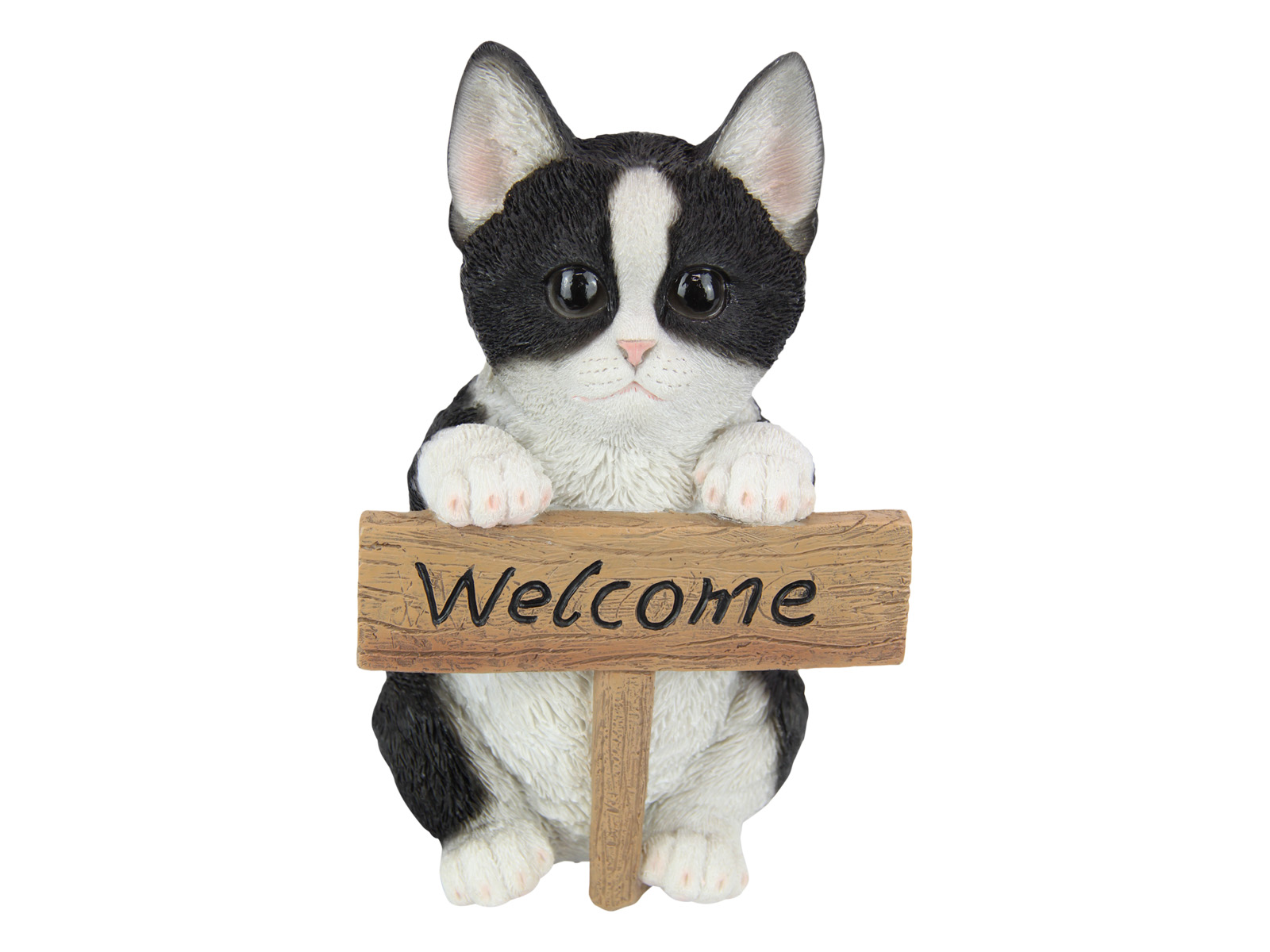 Cat with "Welcome" Sign